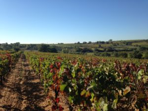 Domaine Anqueven