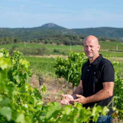 Parrainage de 6 pieds de vigne - 1 an