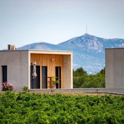  15 juin : Activité Adoption d’une vigne pour la fête des pères - Adulte