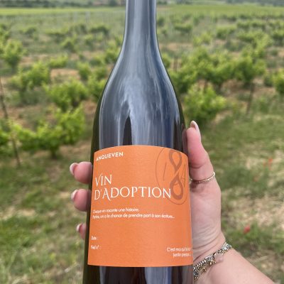 Parrainage 1 pied de vigne - 3 ans